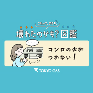 東京ガスの壊れたのかも？図鑑